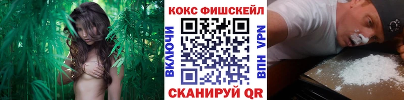 COCAIN 98% Шацк