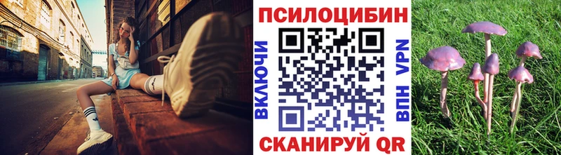 Галлюциногенные грибы Magic Shrooms  Купить  Шацк 